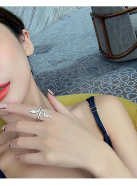Cobra Snake Rings for Women Fashion Adjustable Silver