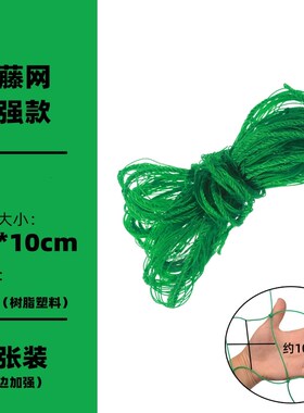 爬藤网种植网家用户外庭院丝瓜百香果植物攀爬架园艺网爬藤网绳子