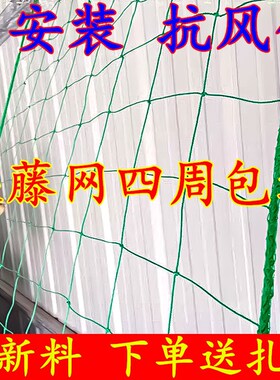 园艺植物爬藤网攀爬种植搭架丝瓜百香果豆角藤蔓花卉网农用葡萄棚