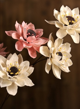 拾花集干花天然植物手工制作