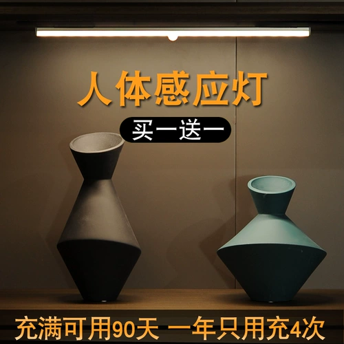 Зарядка человеческого индукционного фонаря домашний проход в спальне ночи, приветствуя гардероб интеллектуальные автоматические длинные полосы светодиодные ночные свет