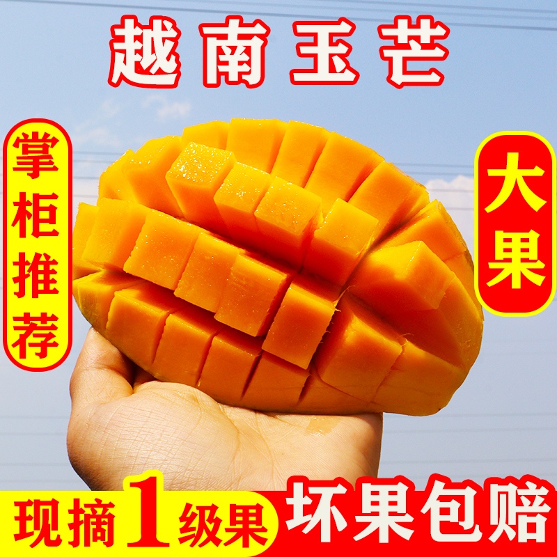 迷你哈尼旗舰店越南玉芒新鲜水果当季热带水果青皮芒果绿皮甜心芒果批发净果9斤2