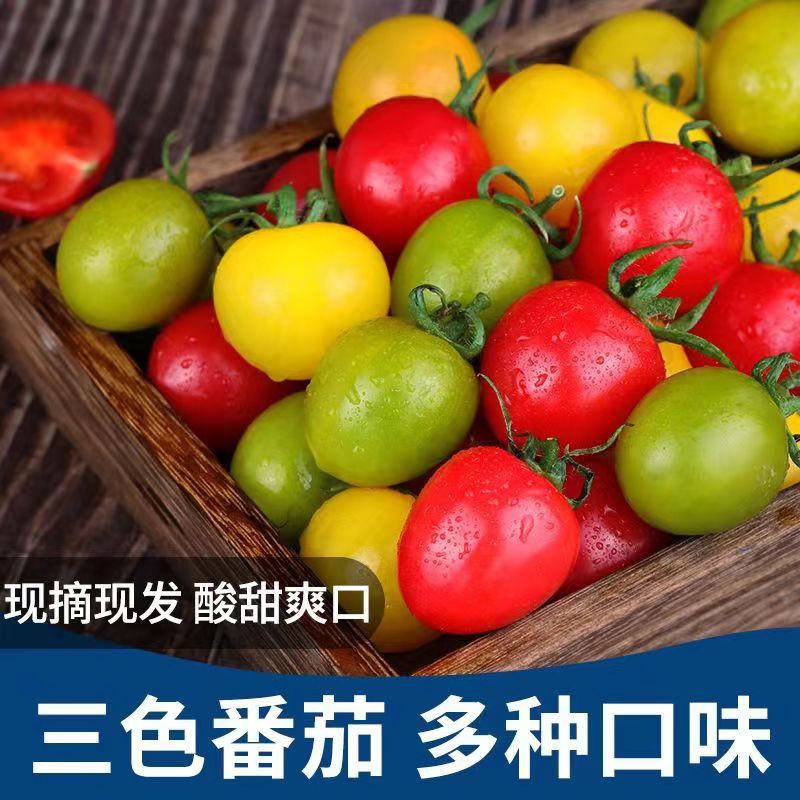 圣女果彩色小番茄新鲜水果生吃现摘黄色绿迷彩红色3色5斤樱桃千禧,淘宝优惠券,粉丝福利购,淘宝优惠卷