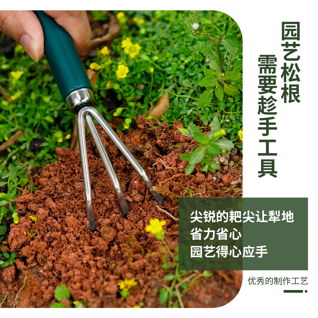 小巧匠园艺小铲子套装不锈钢松土铲子修枝剪养花盆栽植物养护工具,淘宝优惠券,粉丝福利购,淘宝优惠卷