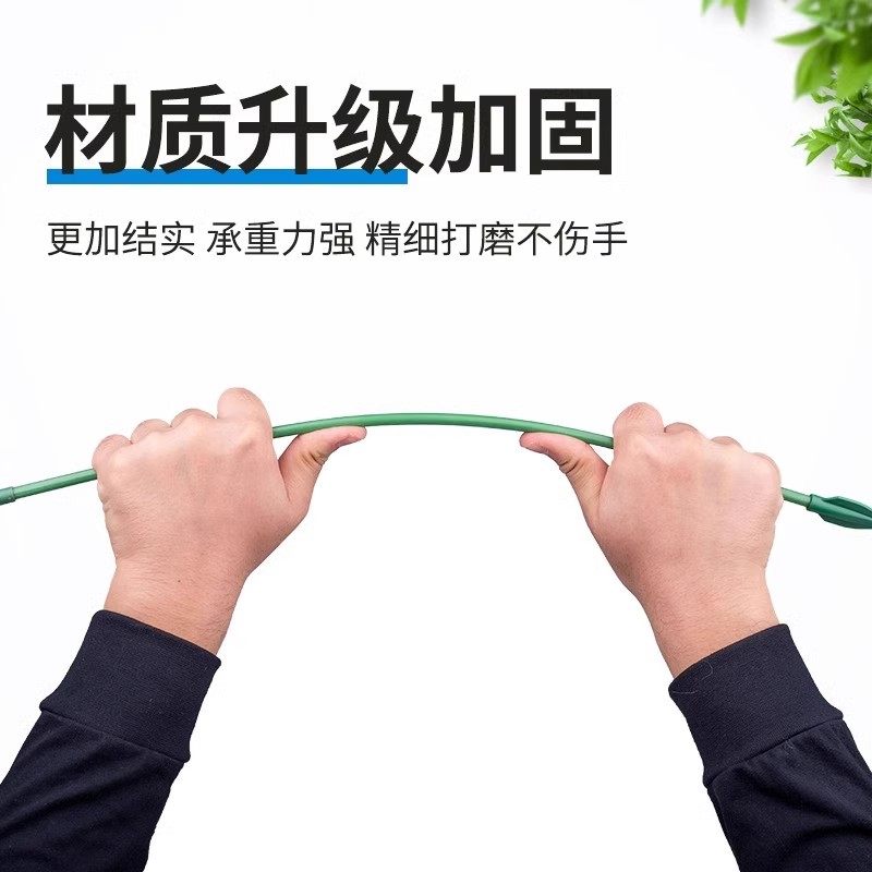 秋海棠专用支撑杆鳟鱼粉旗鱼海威盆栽兰花支撑架种菜爬藤固定支架,淘宝优惠券,粉丝福利购,淘宝优惠卷