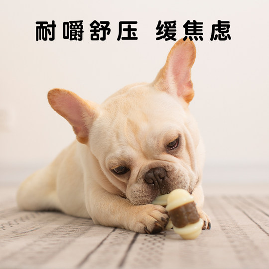 Eetoys Yite Dog Toys Bone Bites Gel Teddy