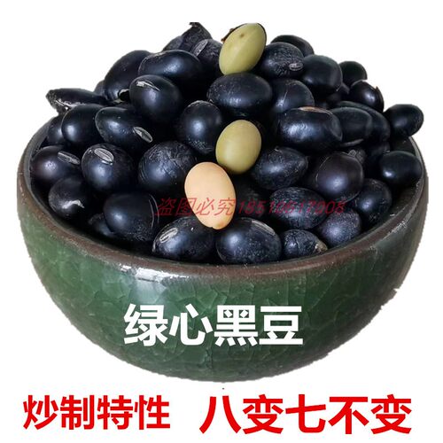 老品种黑豆 肾形黄心 绿心 打豆浆醋泡茶饮煲汤煮粥农家自种包邮 - 图3