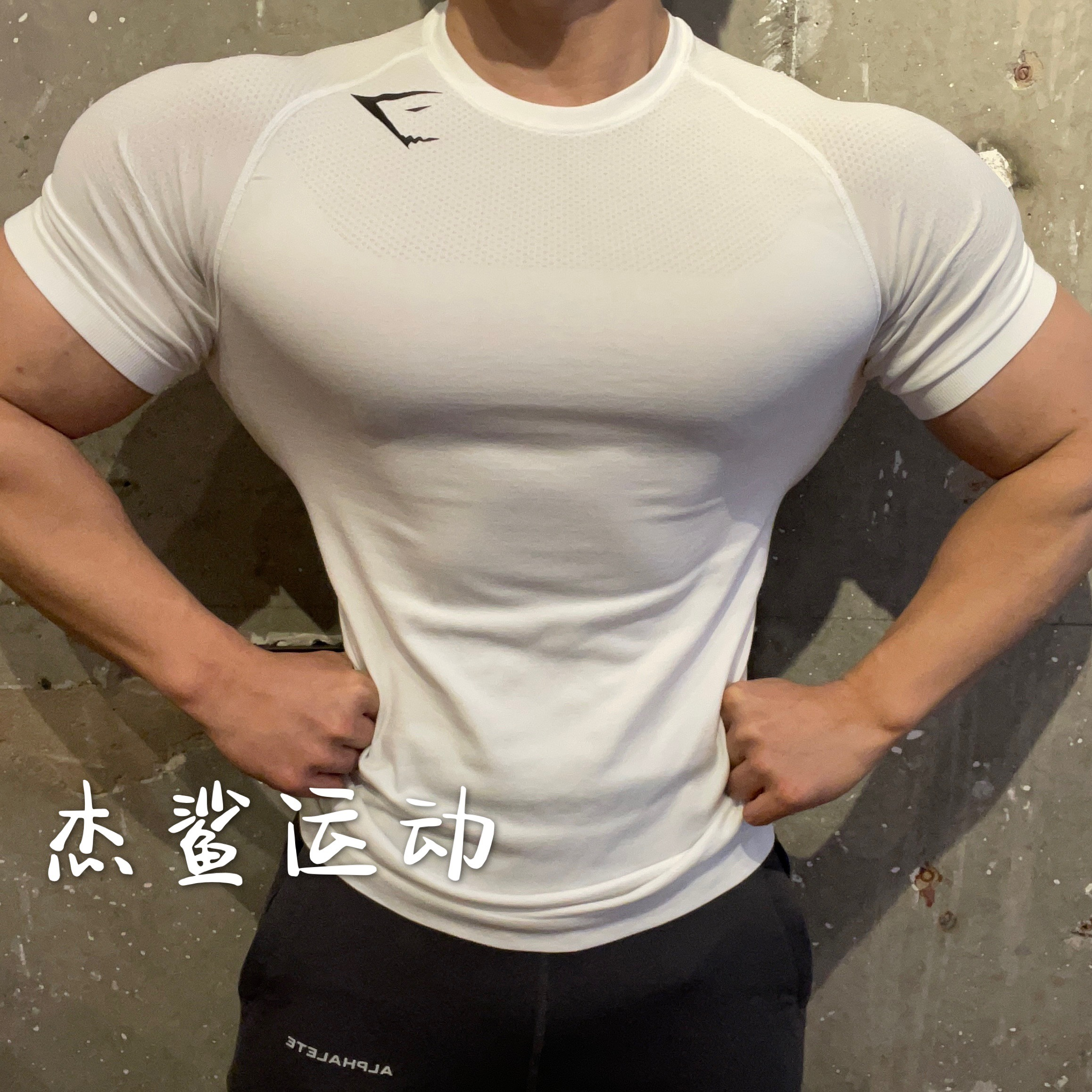 现货Gymshark无缝高端幻影系列男士运动健身弹性修身显身材短袖,淘宝优惠券,粉丝福利购,淘宝优惠卷