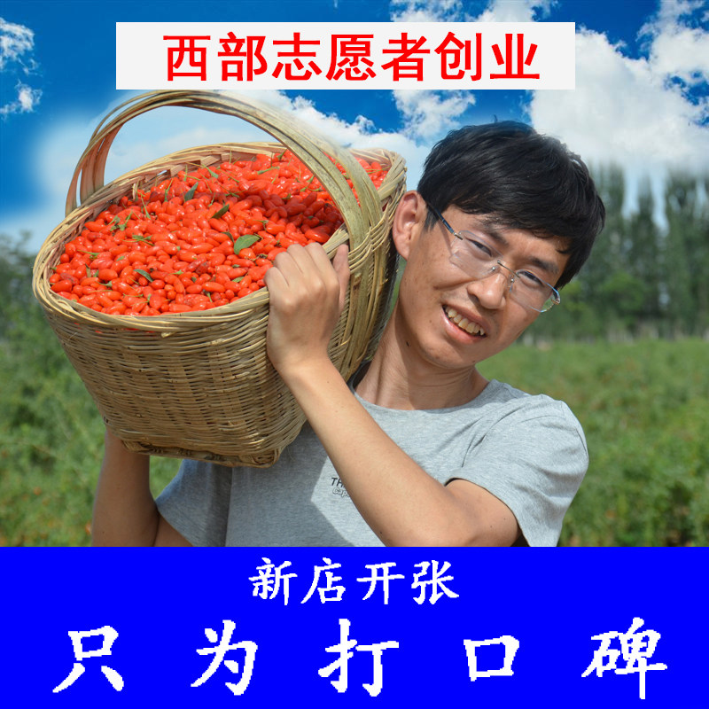 正宗宁夏原生态红枸杞子头茬大颗粒 鲜颗枸杞