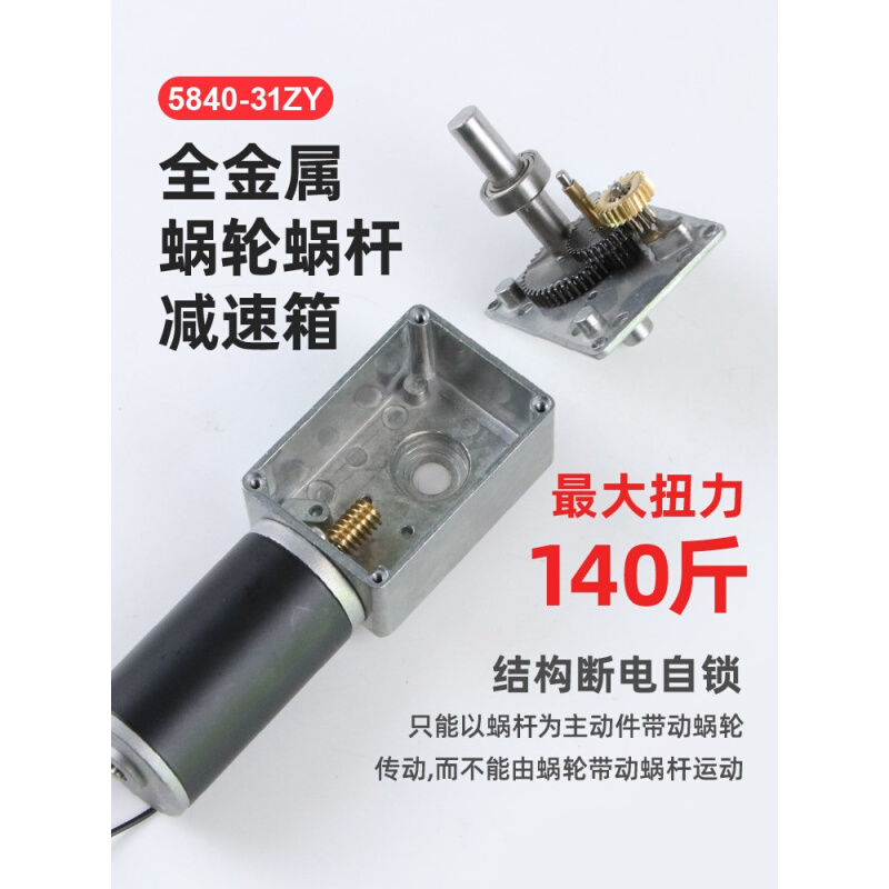 名扬5840-31ZY双轴蜗轮蜗杆马达大扭力微小型12v 24v直流减速电机 - 图0