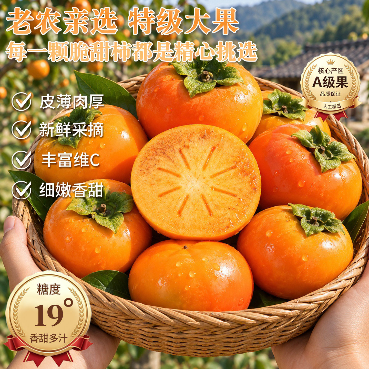 图 5