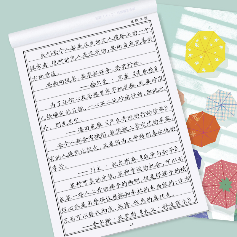 正楷手写字体硬笔楷书练字帖小学生成人大学生钢笔临摹字帖楷书行书练字成年男专用字帖女生字体漂亮初学者练字入门临摹练字本-图2