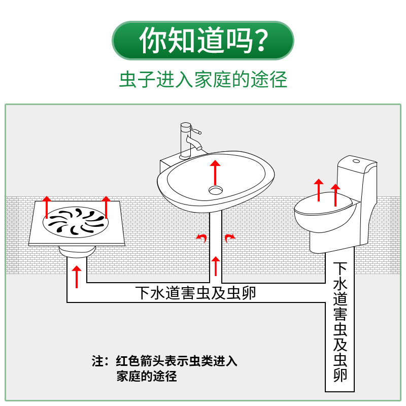 家用无毒下水道驱虫用品灭蚊杀虫剂 科凌虫控淘美灭鼠/杀虫剂