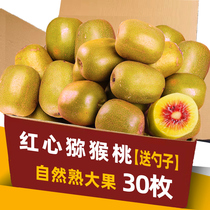 2023 Sichuan Red Heart kiwi Peach Chic Exotic Walnut Macaque Peach Fresh When Season Pregnant Women Fruit Whole Boxes