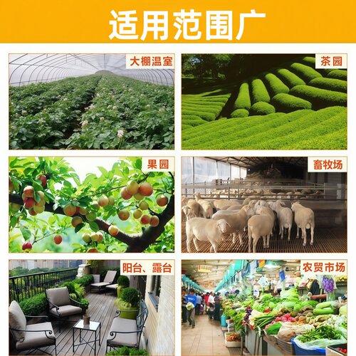 黄板双面粘虫板蓟马纸贴飞虫小黑飞果园盆栽沾果蝇诱捕粘虫板大棚 - 图3