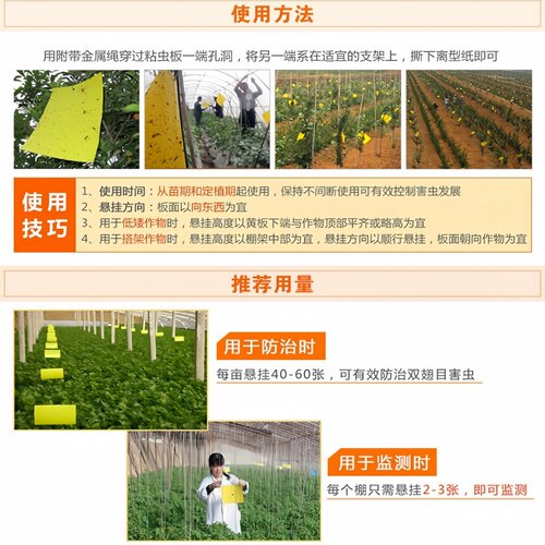黄板双面粘虫板蓟马纸贴飞虫小黑飞果园盆栽沾果蝇诱捕粘虫板大棚 - 图1