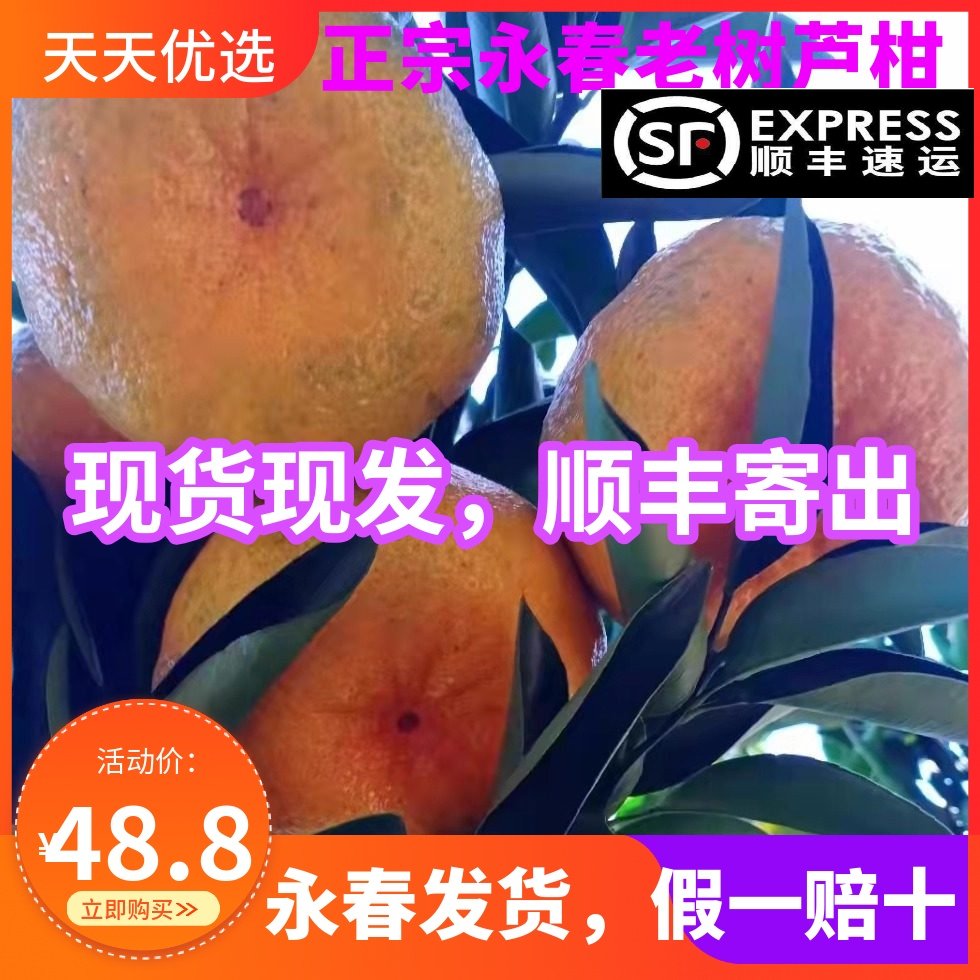 顺丰正宗福建永春芦柑老树椪柑特大果孕妇水果新鲜现发10斤装,淘宝优惠券,粉丝福利购,淘宝优惠卷