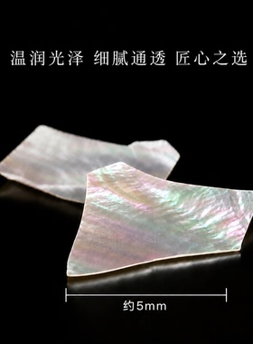 天然珍珠贝不规则片状