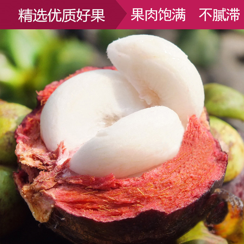 晨洁旗舰店泰国进口山竹精选大果整箱5斤装新鲜水果 孕妇水果坏果包赔1