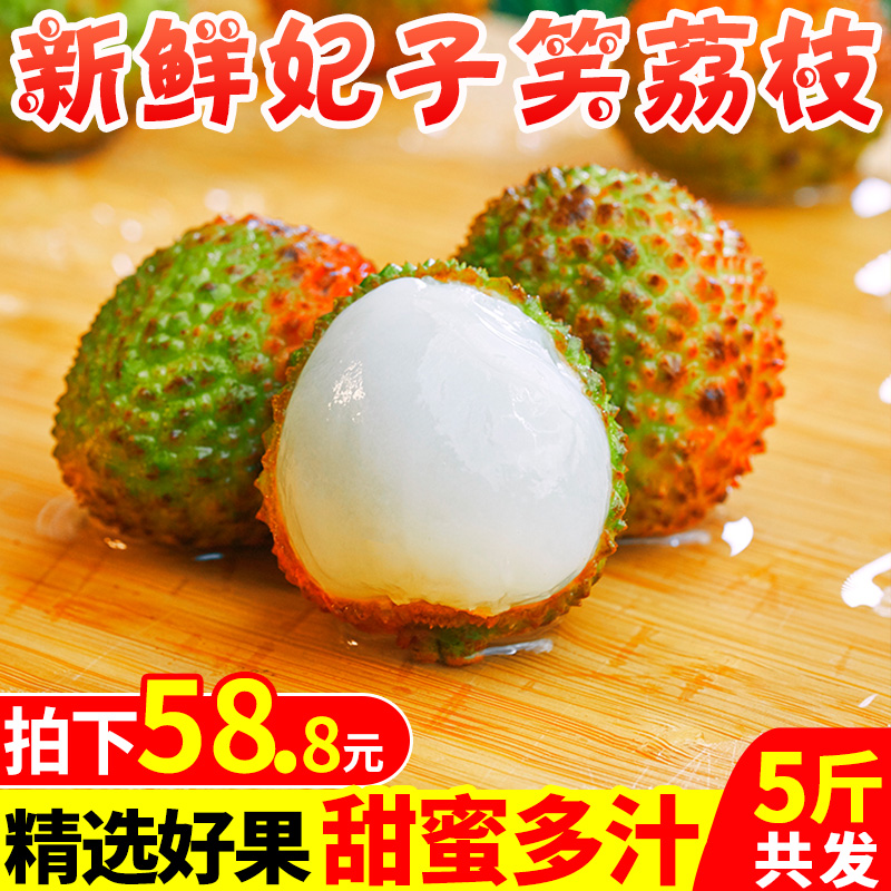 晨洁旗舰店海南妃子笑荔枝新鲜包邮当季水果5斤孕妇应季时令整箱0