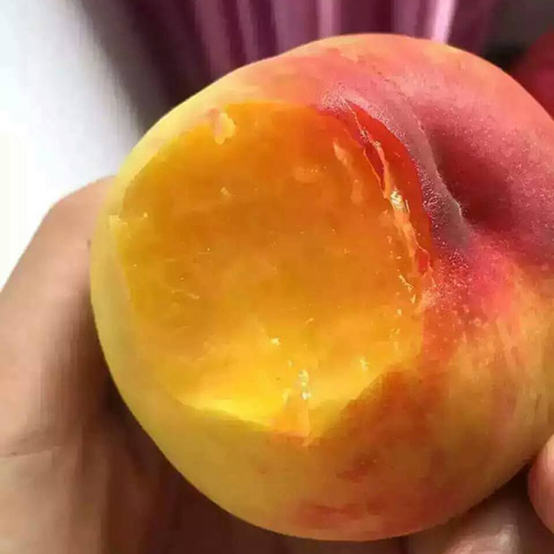 晨洁旗舰店现摘砀山黄桃新鲜水果10斤当季整箱孕妇蜜桃应季黄肉心脆桃子2