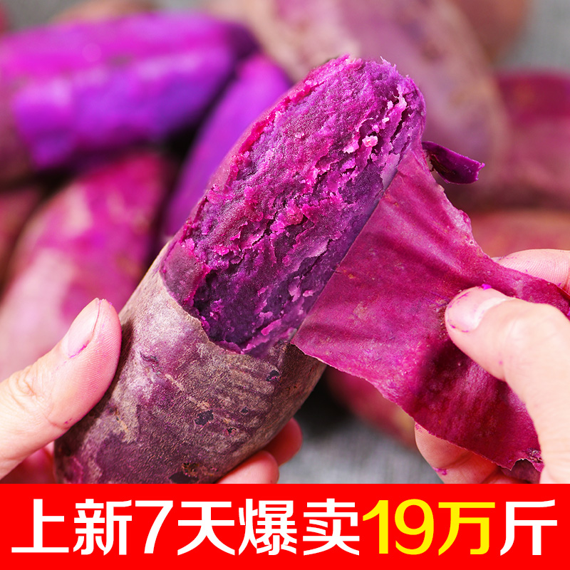 晨洁旗舰店新鲜现挖紫薯10斤装农家自种小紫薯板栗番薯香薯地瓜蔬菜粉糯香甜1