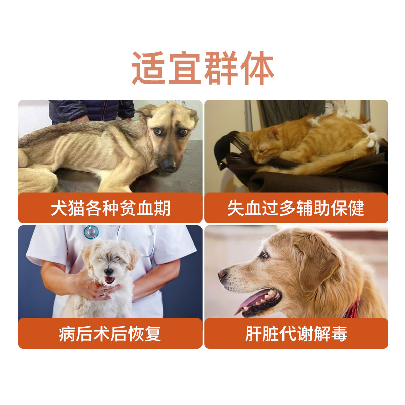 蓝特斯甘血维狗狗猫咪补血肝精狗猫生血保肝护肝补充营养,淘宝优惠券,粉丝福利购,淘宝优惠卷