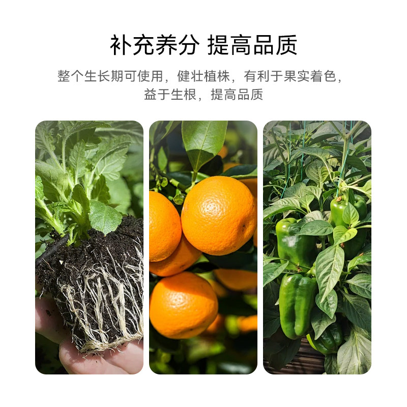 氨基酸叶面肥叶绿素一喷绿果树蔬菜花卉植物通用水溶肥微量元素肥,淘宝优惠券,粉丝福利购,淘宝优惠卷