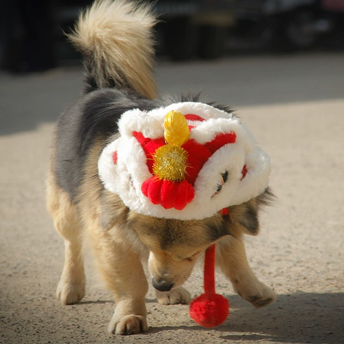 Ji zi tsai Pet Cat Cat Dog and Dog Новая годоватая одежда Happy Lion Dance Cat Cat с маленькой шляпой для собак Дракон Новый год