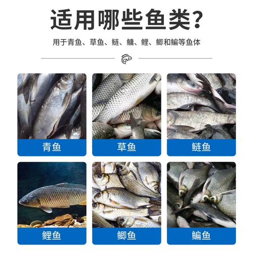 Сера -сальфурская раствор китайский якорь сера