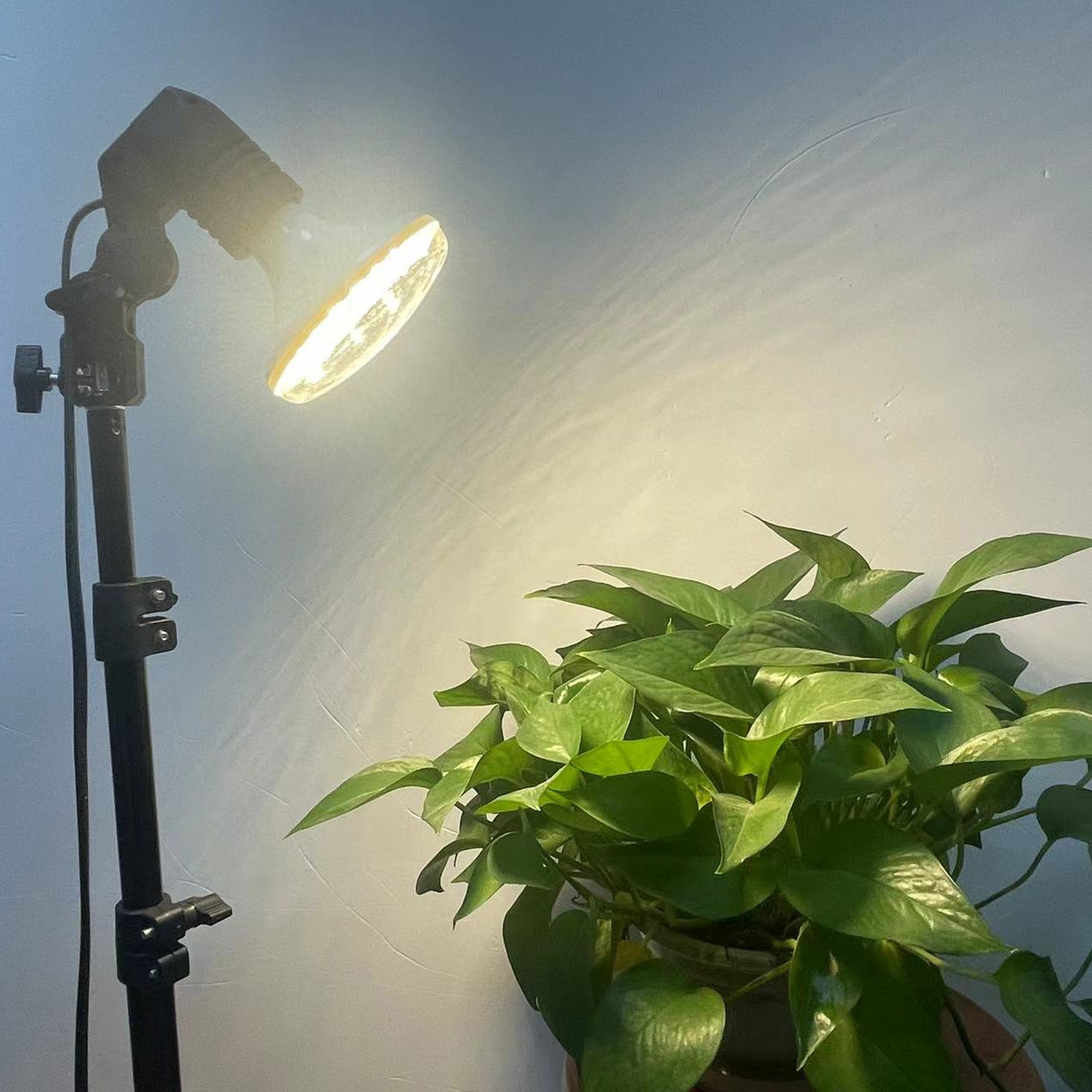 led植物补光灯仿太阳全光谱花卉鱼缸照百香果火龙果花卉多肉绿植,淘宝优惠券,粉丝福利购,淘宝优惠卷