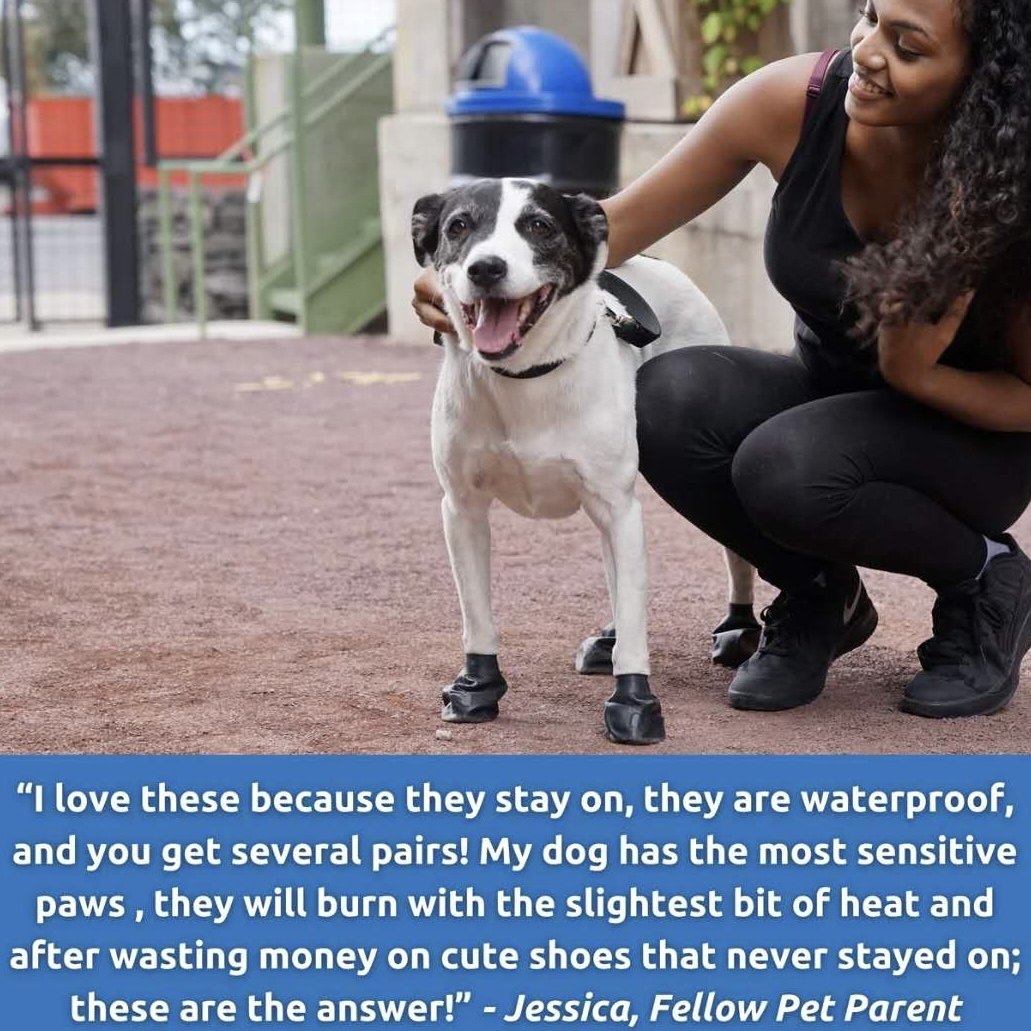 美国pawz狗狗雨鞋防水脚套夏季防滑天然橡胶宠物鞋子不掉脚鞋套,淘宝优惠券,粉丝福利购,淘宝优惠卷