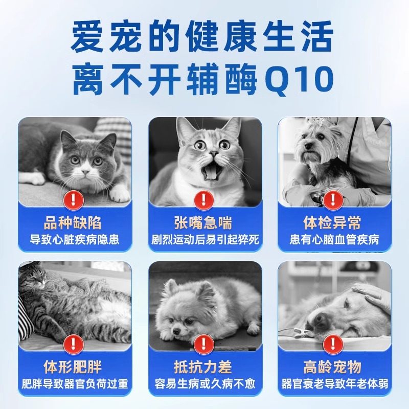 德国Candypeti狗狗辅酶q10猫咪预防保护心脏肥大宠物心肌肥大,淘宝优惠券,粉丝福利购,淘宝优惠卷