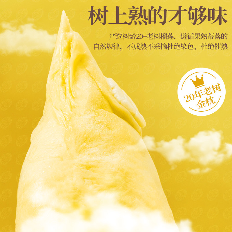 榴莲西施金枕 榴莲西施榴莲