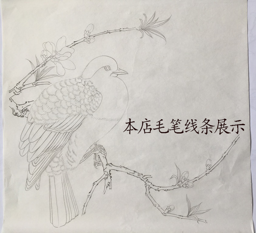 工笔画底稿 俞致贞 工笔荷花竖副2 白描打印稿宣纸稿学习临摹 - 图2