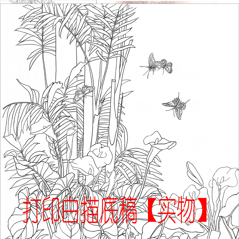 工笔画底稿 4尺花鸟蝴蝶竖副 无暇 白描打印稿毛笔勾线宣纸稿 - 图1