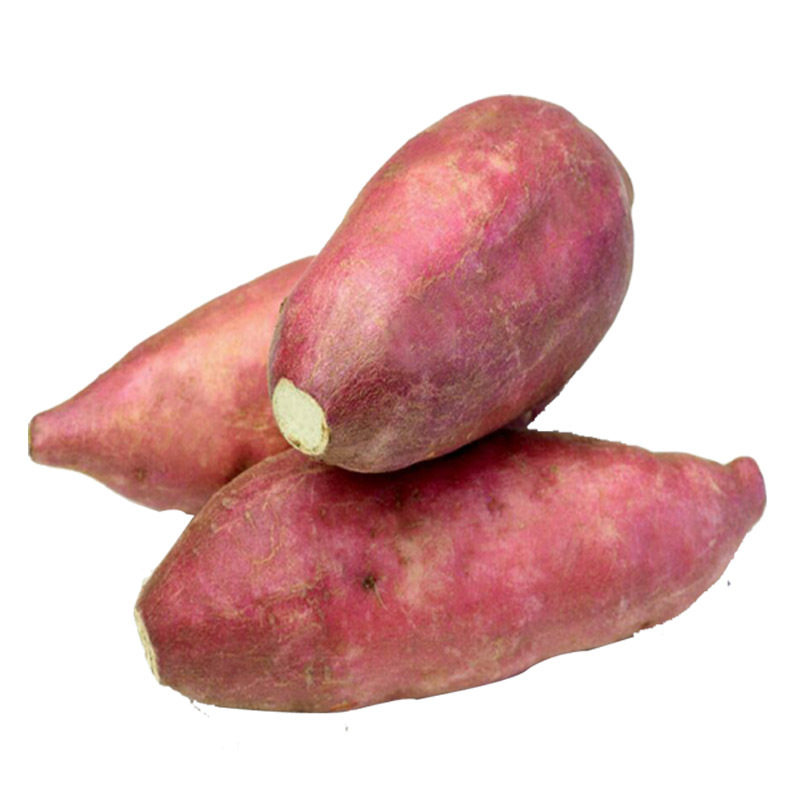 2020农家白心新鲜带箱10斤正宗红苕 果缘芬番薯