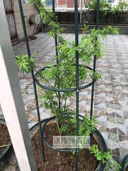 .Iron cylindrical flower stand rose climbing pergola clematis plant climbing flower stand balcony indoor potted garden