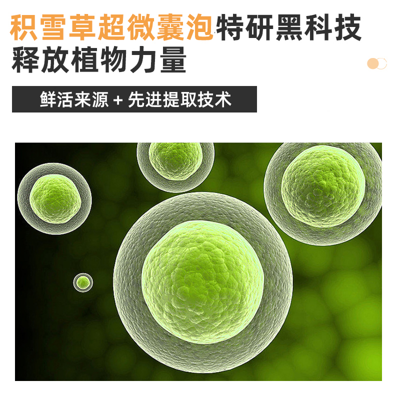 绽媄娅积雪草舒缓补水保湿面膜25片