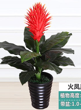 假花鸿运当头仿真植物落地盆栽花