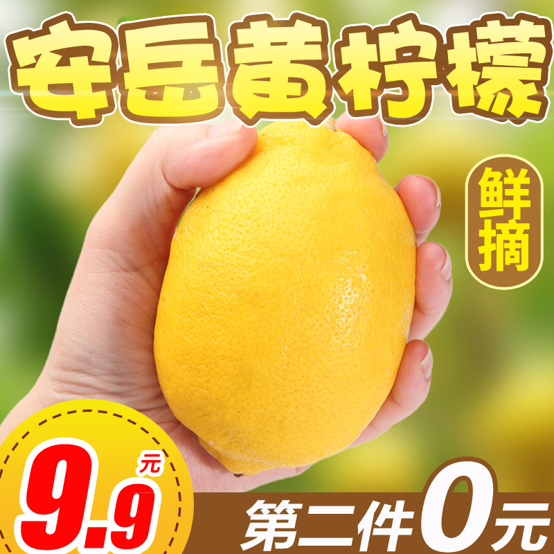 乐知果旗舰店第二件0元 四川安岳黄柠檬大果3斤一级果新鲜当季水果现摘鲜包邮0