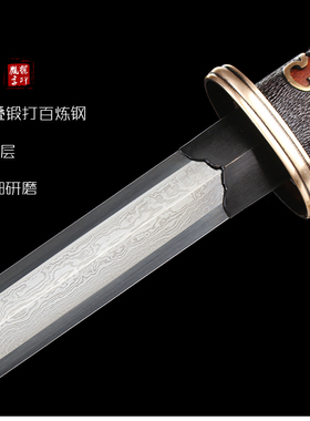 胤字号花纹钢一体剑未开刃
