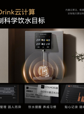COLMO壁挂管线机净水器伴侣RA08