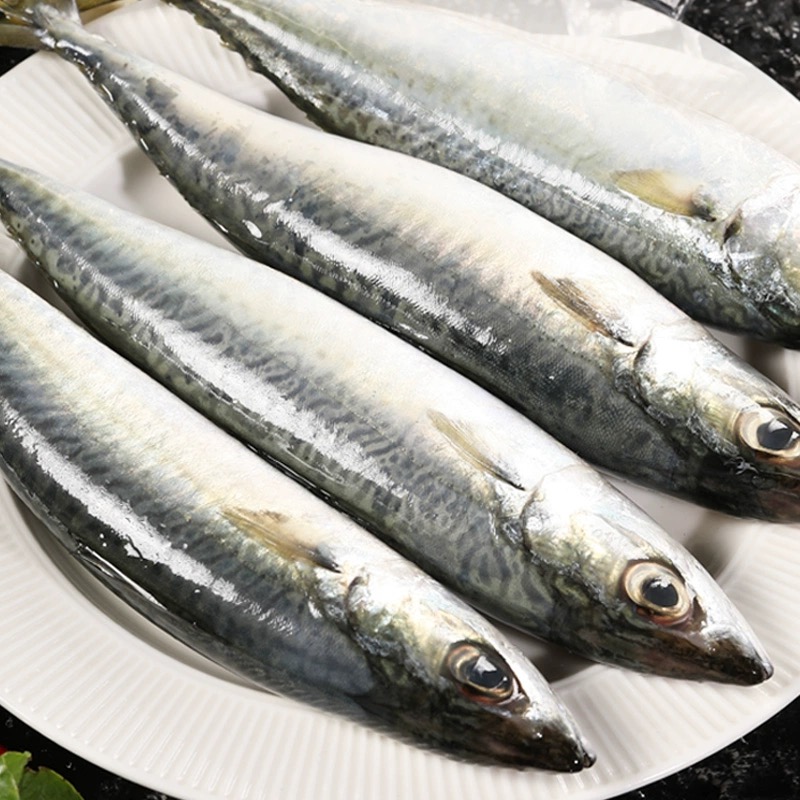 新鲜鲐鲅鱼冷冻鲜活鲅鱼新鲜青占鱼整条鲐鱼深海捕捞燕青鱼鲭鱼 - 图2