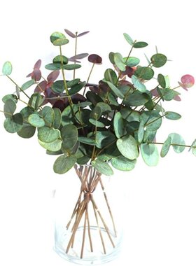 仿真手感尤加利叶家居花束装饰植物插花绿色婚庆花卉桉树B388