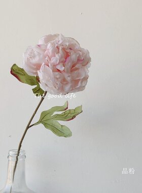 美式仿真干花牡丹粉色白色芍药客厅假花网红拍摄道具空间陈列B357