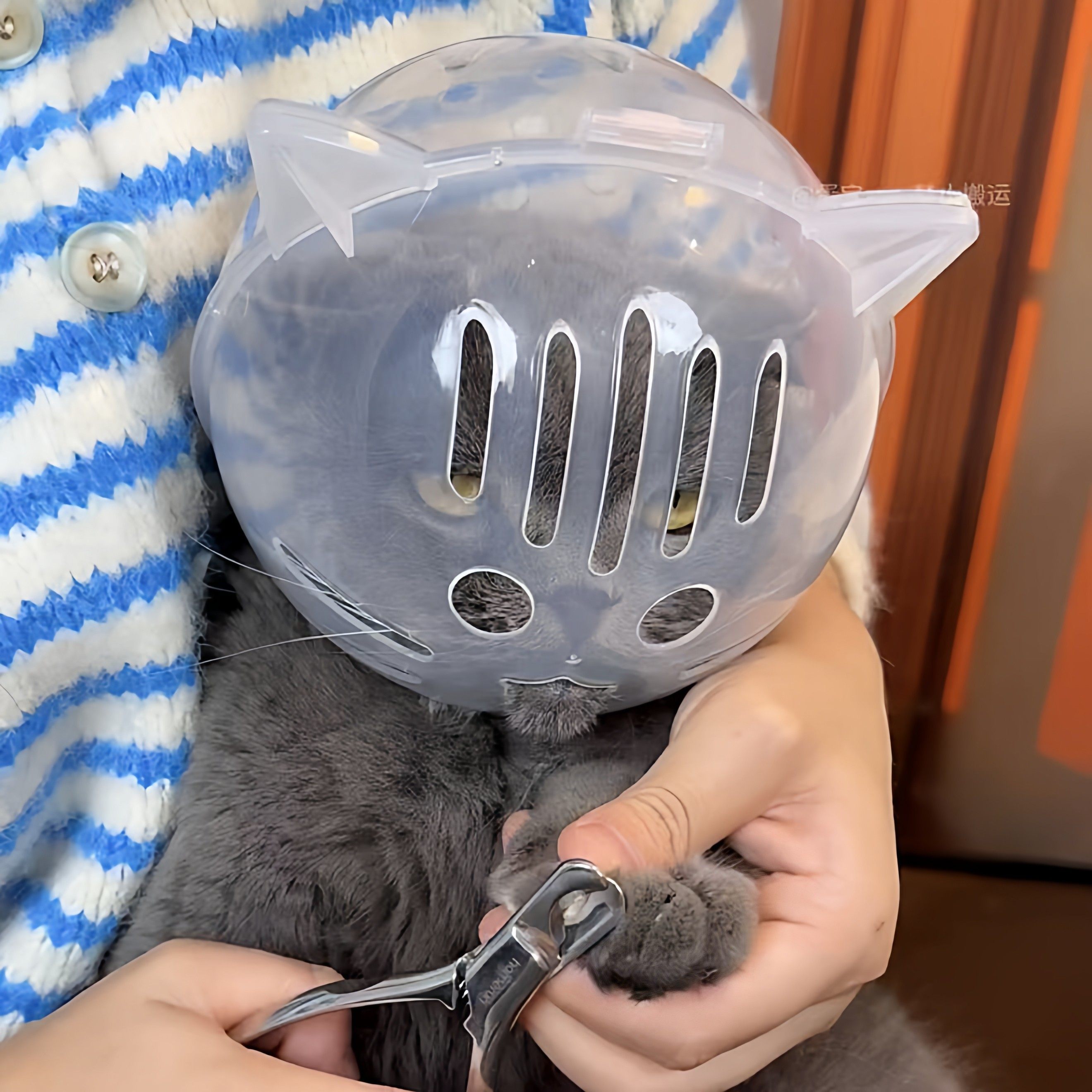 猫咪伊丽莎白圈幼猫成猫通用剪指甲上药头套防舔防咬球形太空头罩,淘宝优惠券,粉丝福利购,淘宝优惠卷