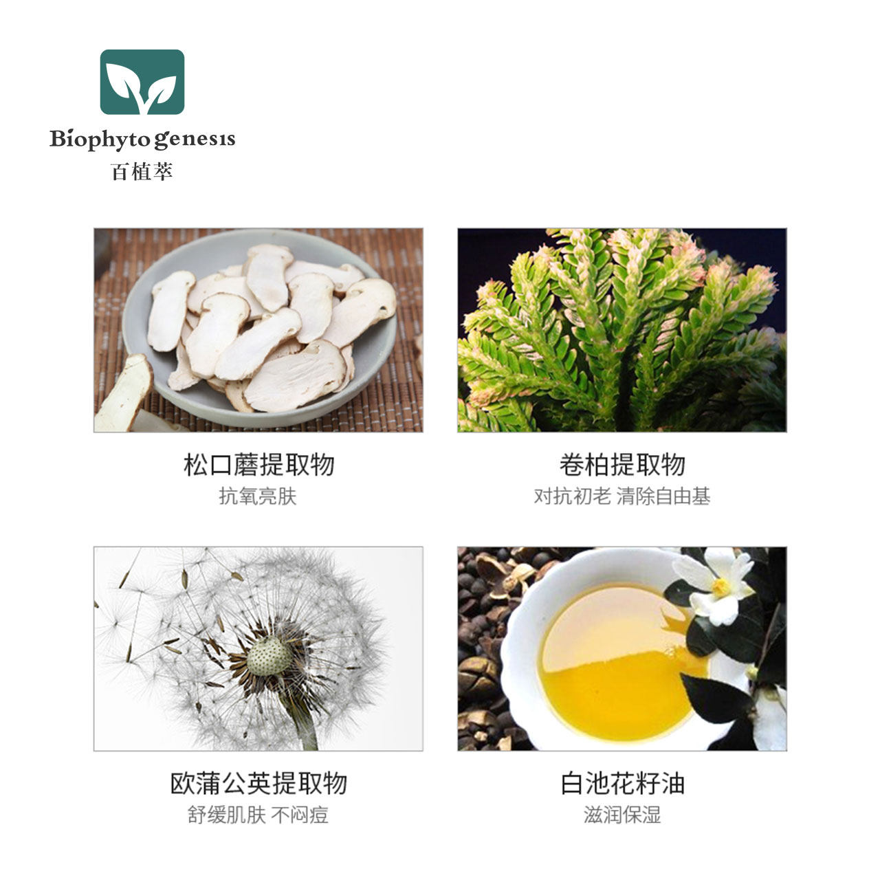 百植萃遮瑕养肤保湿持久不脱妆 bb霜 百植萃粉底液/膏