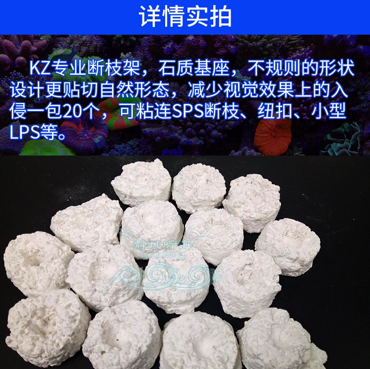 ZEO基座珊瑚sps纽扣底座断枝座造景lps断肢繁殖支撑硬骨海水海缸-图1