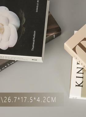 大莅摆件假书仿真书餐厅轻奢店铺软摄影拍摄道具籍书房装饰品英文